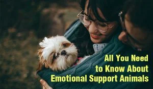 emotional support animals - pets - mental health - emotional health - Bacolod blogger