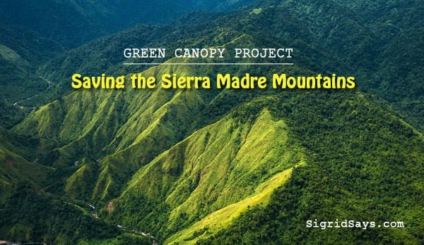 Sierra Madre Mountains reforestation - Lucio Tan III - Allianz - environment - green canopy project - tree planting