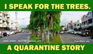 I speak for the trees - environment - Bacolod City - Narra Avenue center islands - wide roads