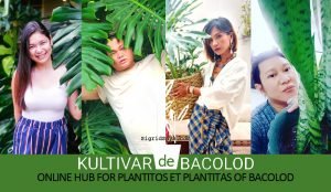 Kultivar de Bacolod - plantitos and plantitas - plants lovers - plant hunting -francisco te - Covid-19 pandemic - plastic pots - selfies