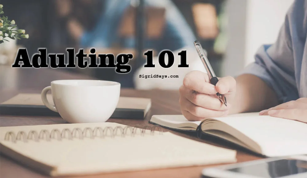 adulting 101 - adulting tips - responsibility - work ethics - finances - domestic - planning