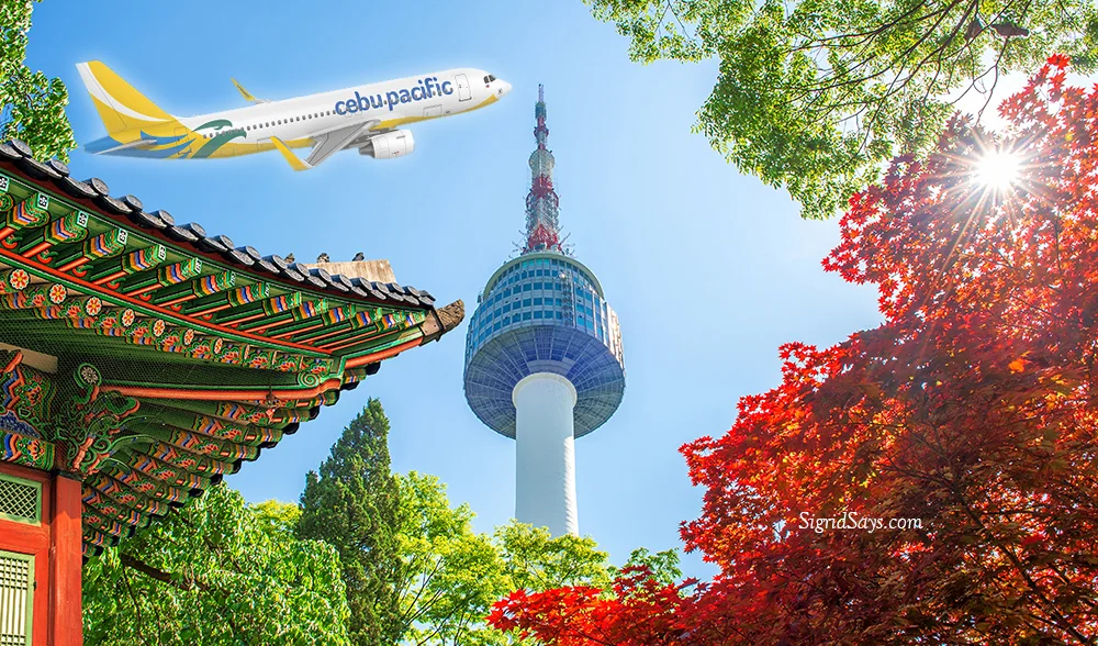 Seoul Tower with gyeongbokgung roof and red autumn maple leaves