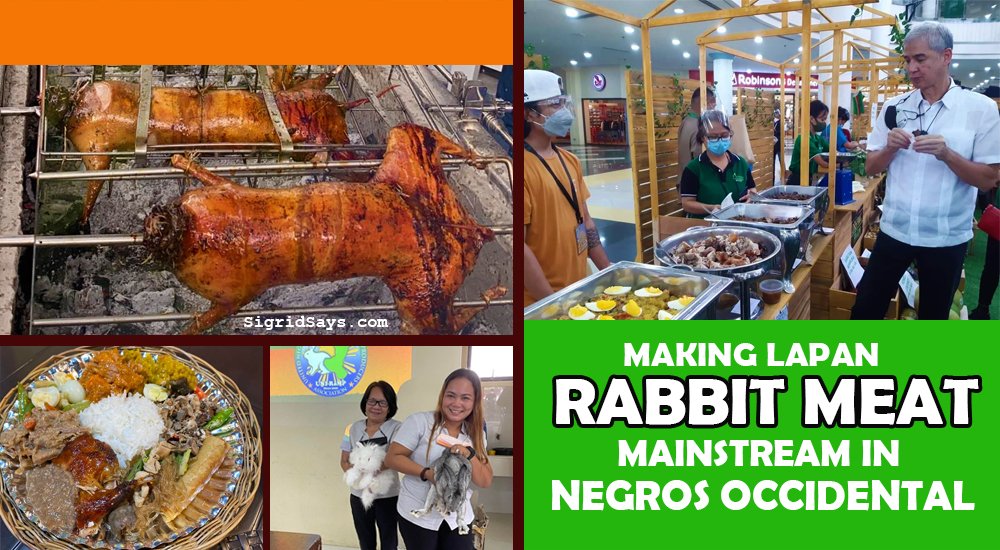 Making Lapan (Rabbit Meat) a Mainstream Food in Negros Occidental