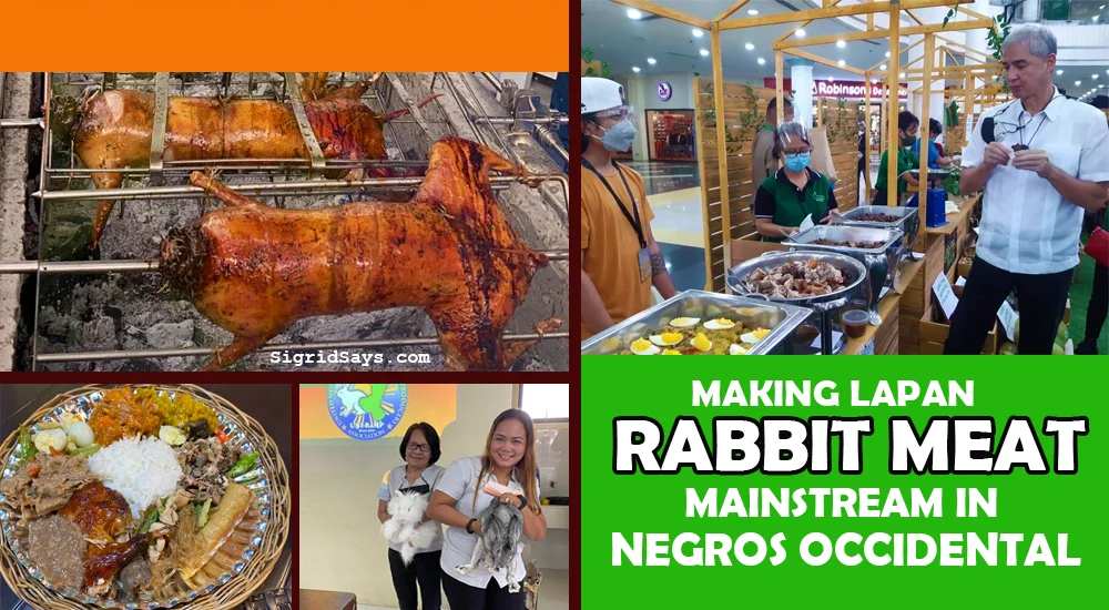 lapan rabbit meat - HOPS grill house - Bacolod restaurant - rabbit meat breeders of Negros Occidental - UNI-RaMP - specialty restaurant - rabbit grower Monette Navarro with baby rabbits - cover