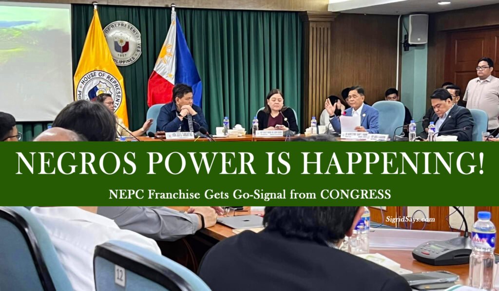 NEPC Franchise - Negros Electric and Power Corporation - Congress - hearing - Bacolod City - CENECO - Central Negros Distribution Utility DU - NEPC President Roel Castro - title