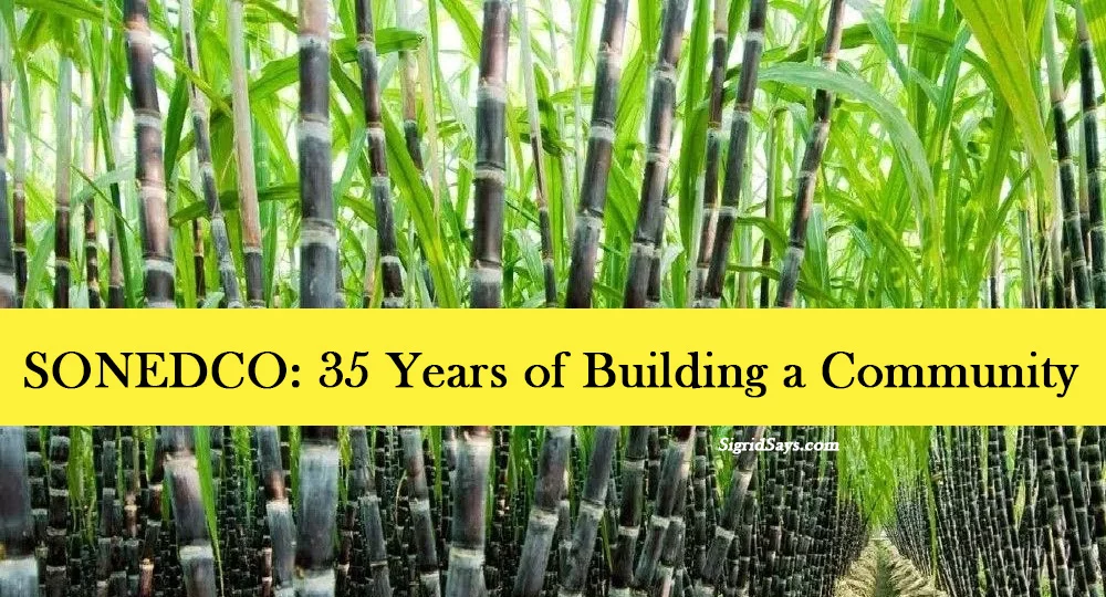URC sugar mill in Kabankalan Negros Occidental - sugar mill - sugar industry - URC food products - sugarcane