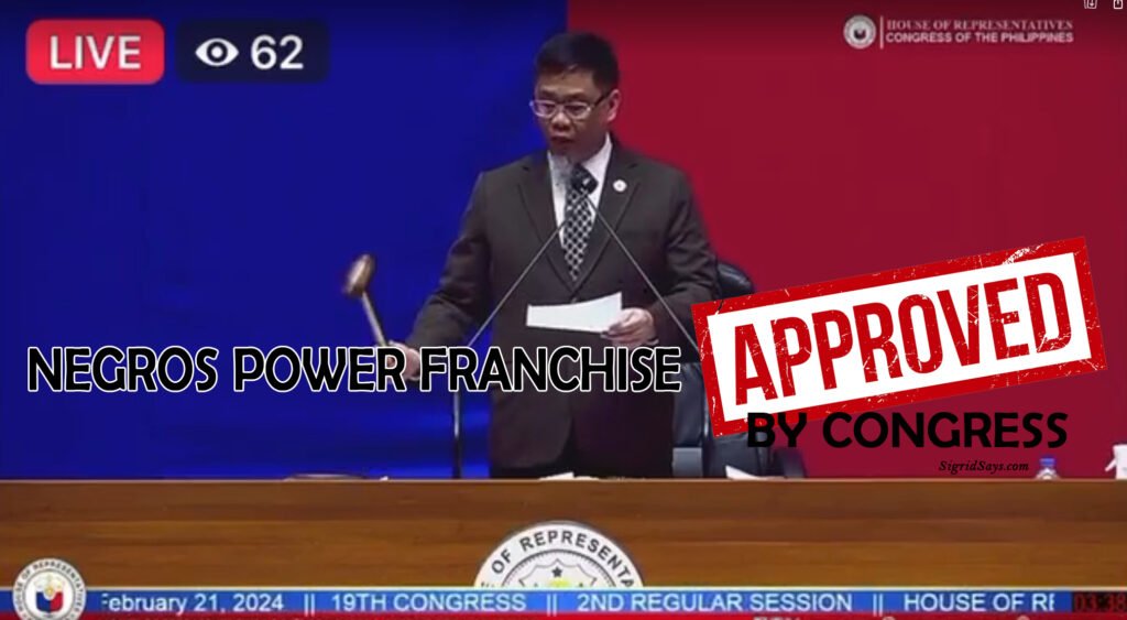 What Happens After Approval of the Negros Power Franchise in Congress