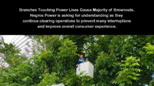 Negros Power - brownouts in Bacolod City - linemen -trees