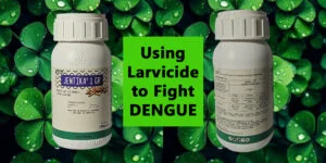 using larvicide to fight dengue - kill dengue mosquitoes - JENTIKA 1 GR Larvicide