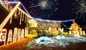 CAMELLA PILI - Camella Homes Christmas decor