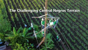NEPC - Negros Power - Central Negros terrain - sugarcane fields - linemen