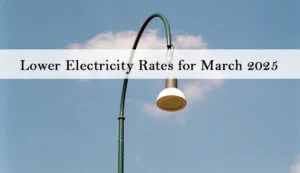negros power - lower electricity rates for March 2025 - Central Negros