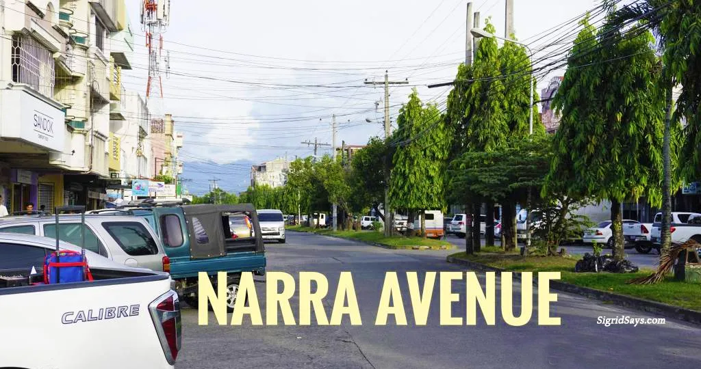 The Indian-tree lined center island of Narra Avenue at Capitol Shopping Center, Bacolod City.