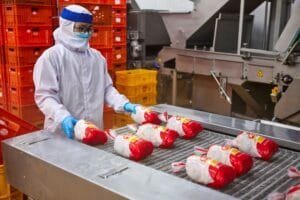 BDO backs agri expansion for food security 01