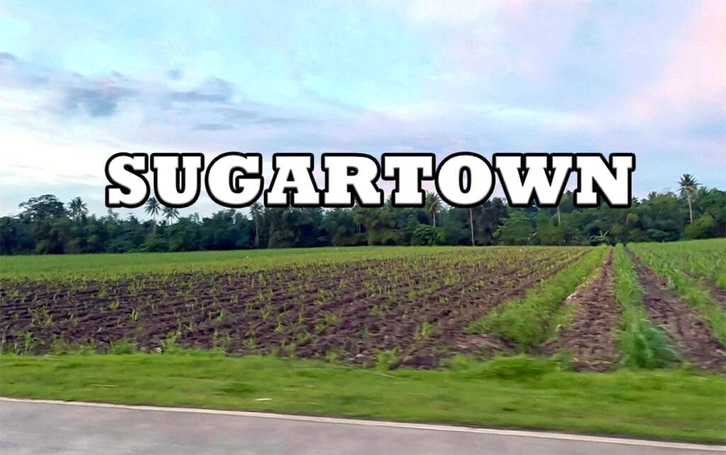 Megaworld - Sugartown - Talisay City Negros Occidental - sugarcane fields - township