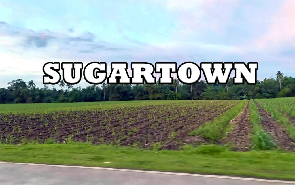 Megaworld - Sugartown - Talisay City Negros Occidental - sugarcane fields - township
