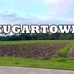Megaworld - Sugartown - Talisay City Negros Occidental - sugarcane fields - township