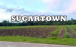 Megaworld - Sugartown - Talisay City Negros Occidental - sugarcane fields - township