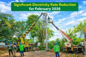 negros power february 2026 rate reduction