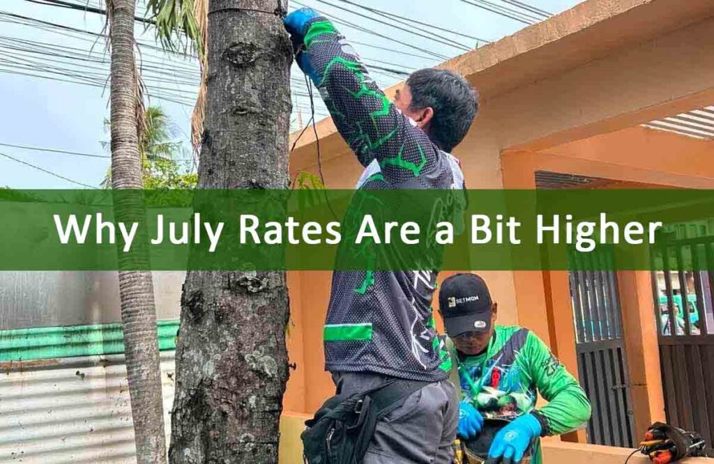 Negros Power July rates