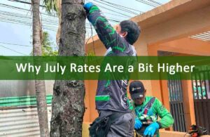 Negros Power July rates